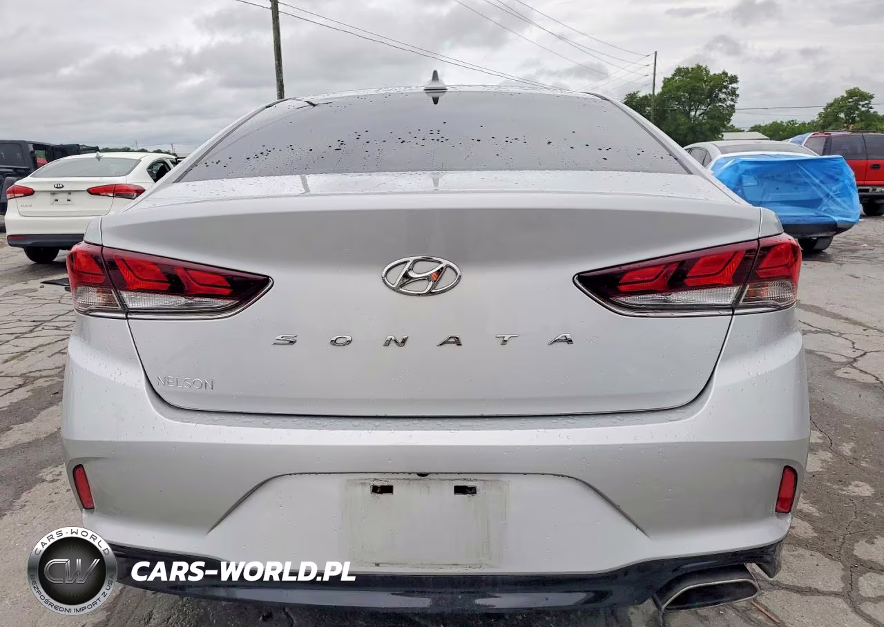 2019 Hyundai Sonata Sel VIN:5NPE34AF5KH788027 - 6