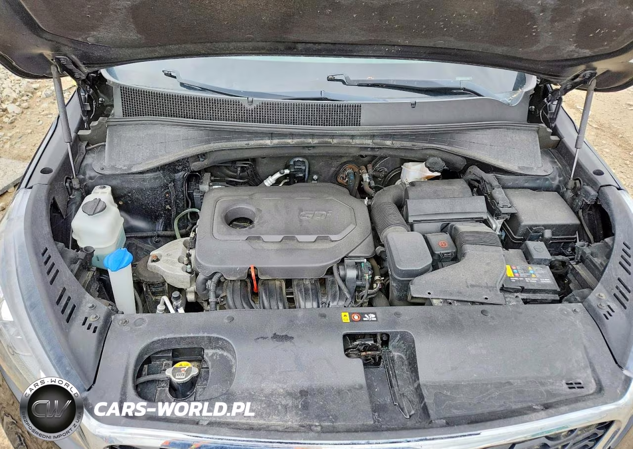 2019 Kia Sorento Lx VIN:5XYPG4A3XKG447975 - 12