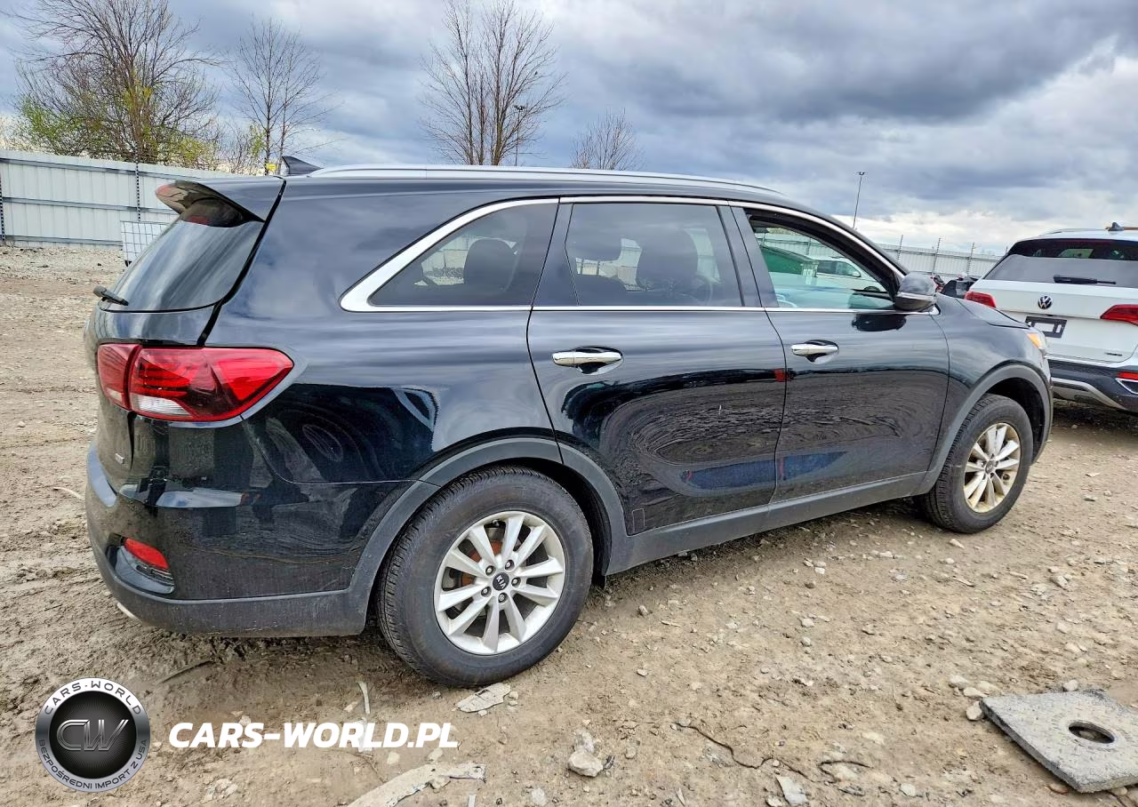 2019 Kia Sorento Lx VIN:5XYPG4A3XKG447975 - 3