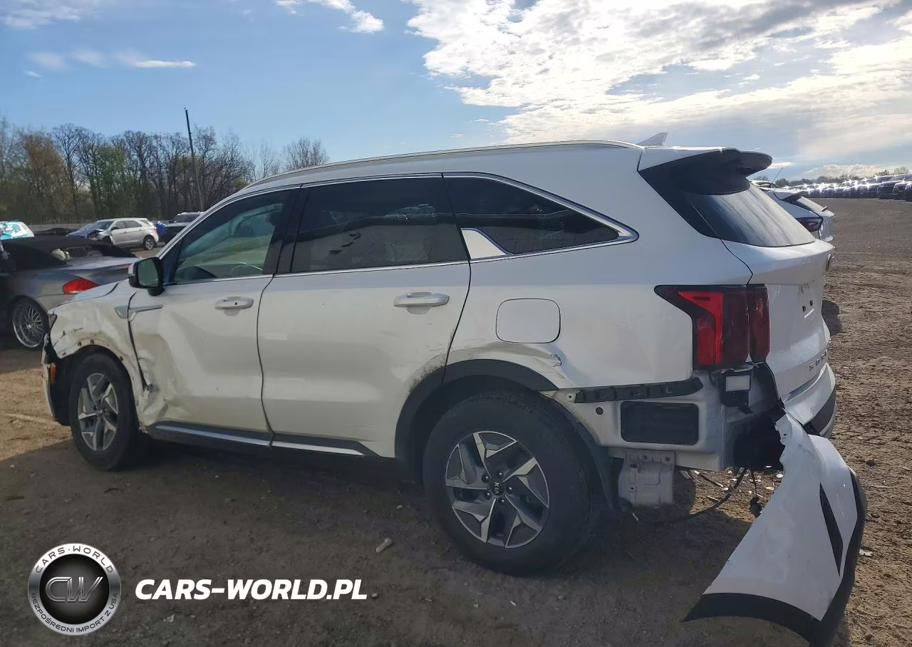 2021 Kia Sorento S VIN:KNDRG4LG9M5024308 - 2