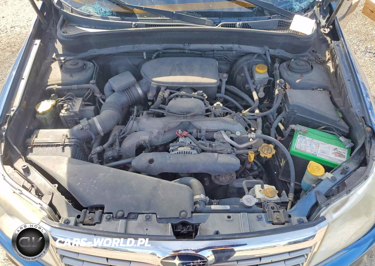 2010 Subaru Forester 2.5X Premium VIN:JF2SH6CC1AH743975 - 12