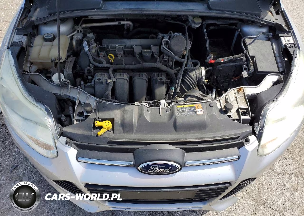 2013 Ford Focus Se VIN:1FADP3F28DL318613 - 11