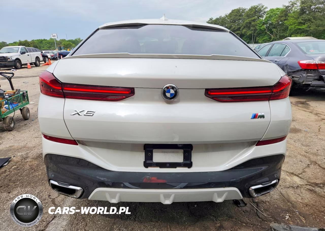 2023 BMW X6 xDrive40I VIN:5UXCY6C08P9N44383 - 6