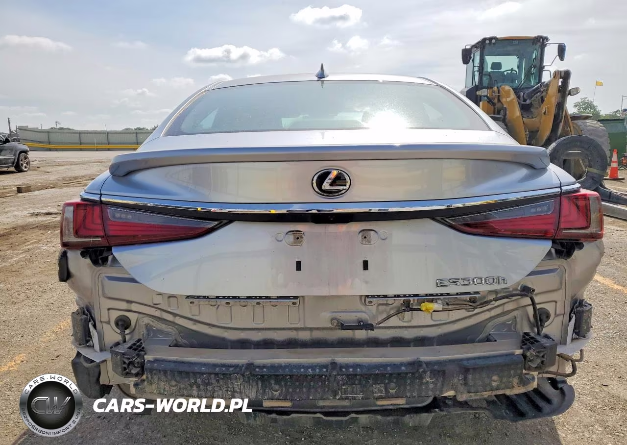 2024 Lexus Es 300H Base VIN:58ADA1C16RU043034 - 6