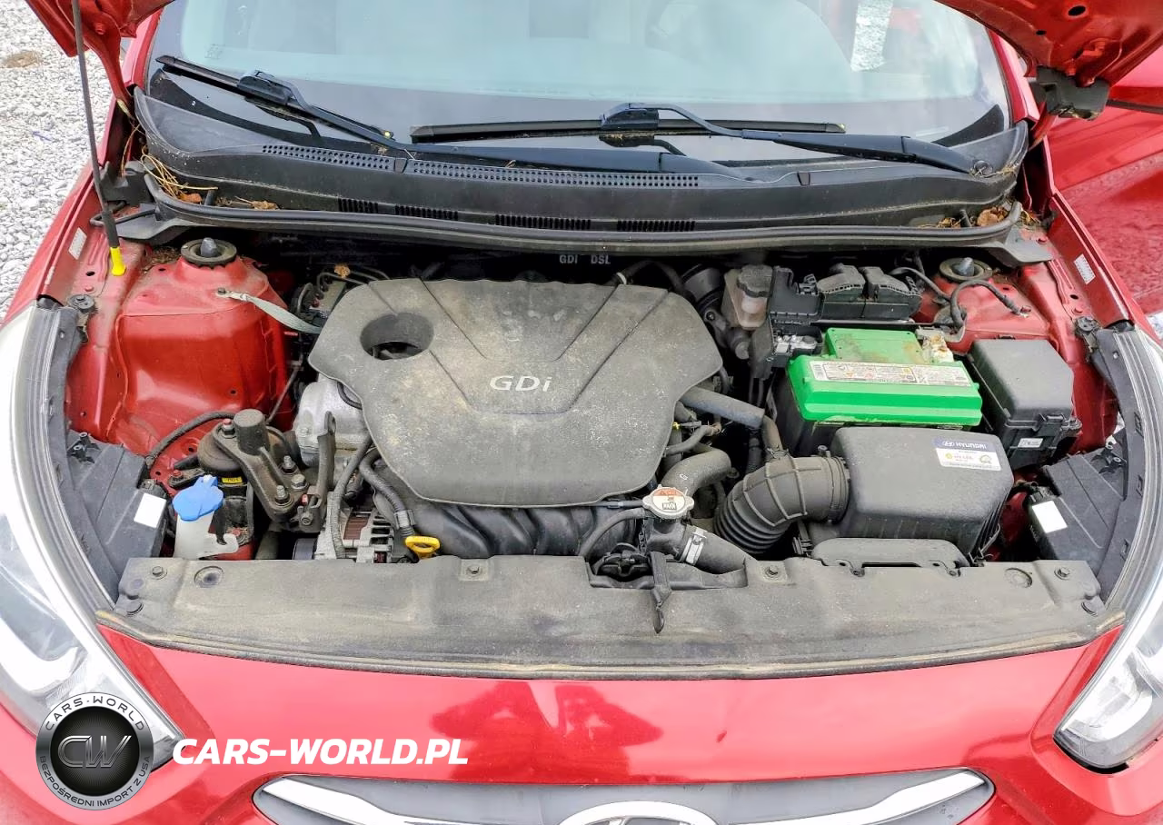 2016 Hyun Accent Se VIN:KMHCT4AE8GU135862 - 11