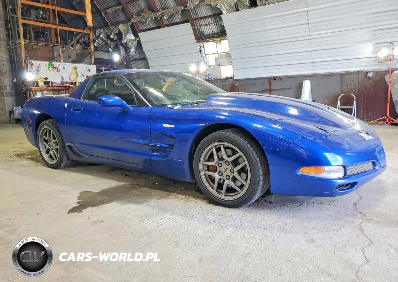 2002 Chevrolet Corvette Z06 VIN:1G1YY12S225120364 - 4