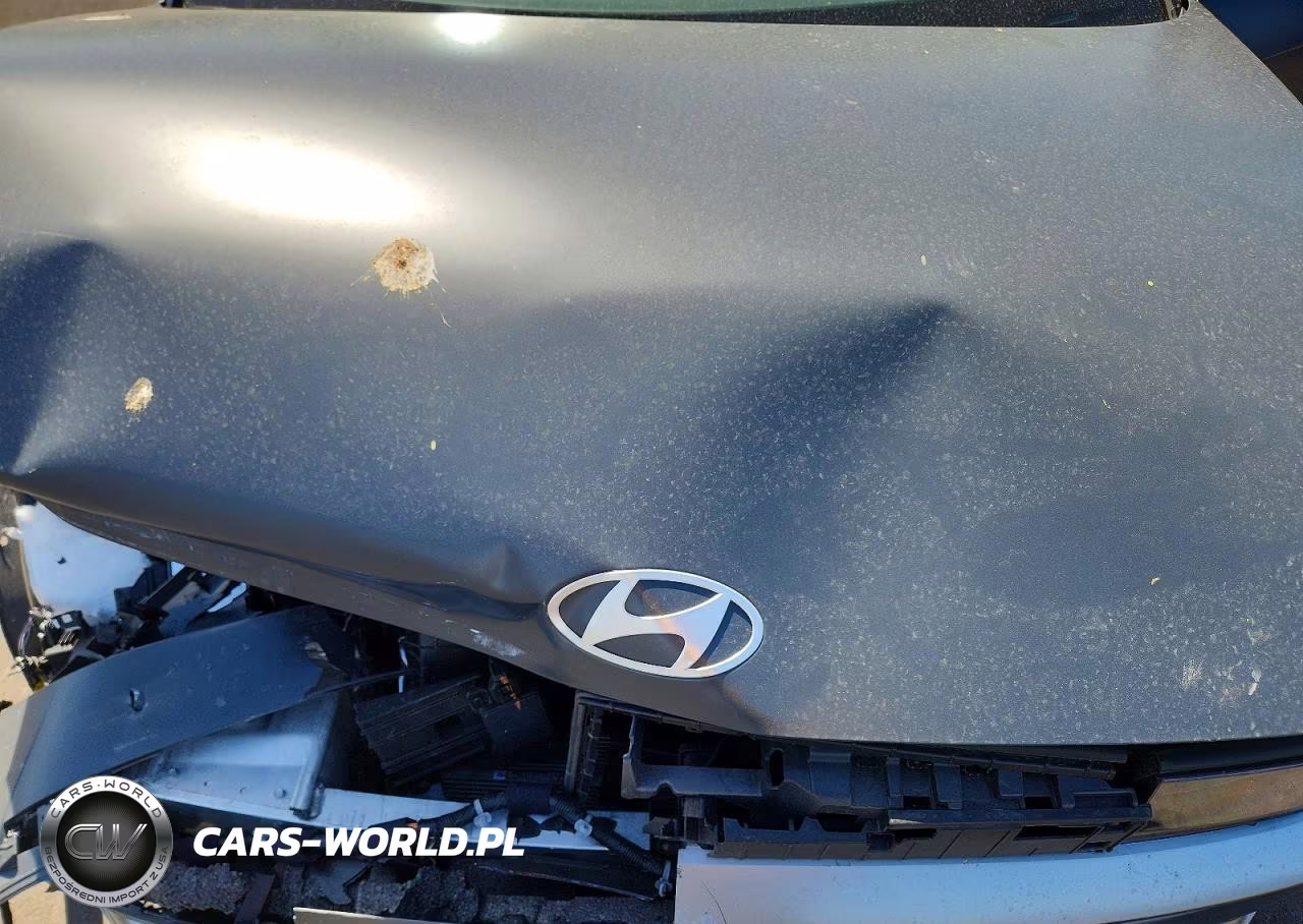 2025 Hyundai Ioniq 5 Sel VIN:7YAKN4DA4SY039658 - 12