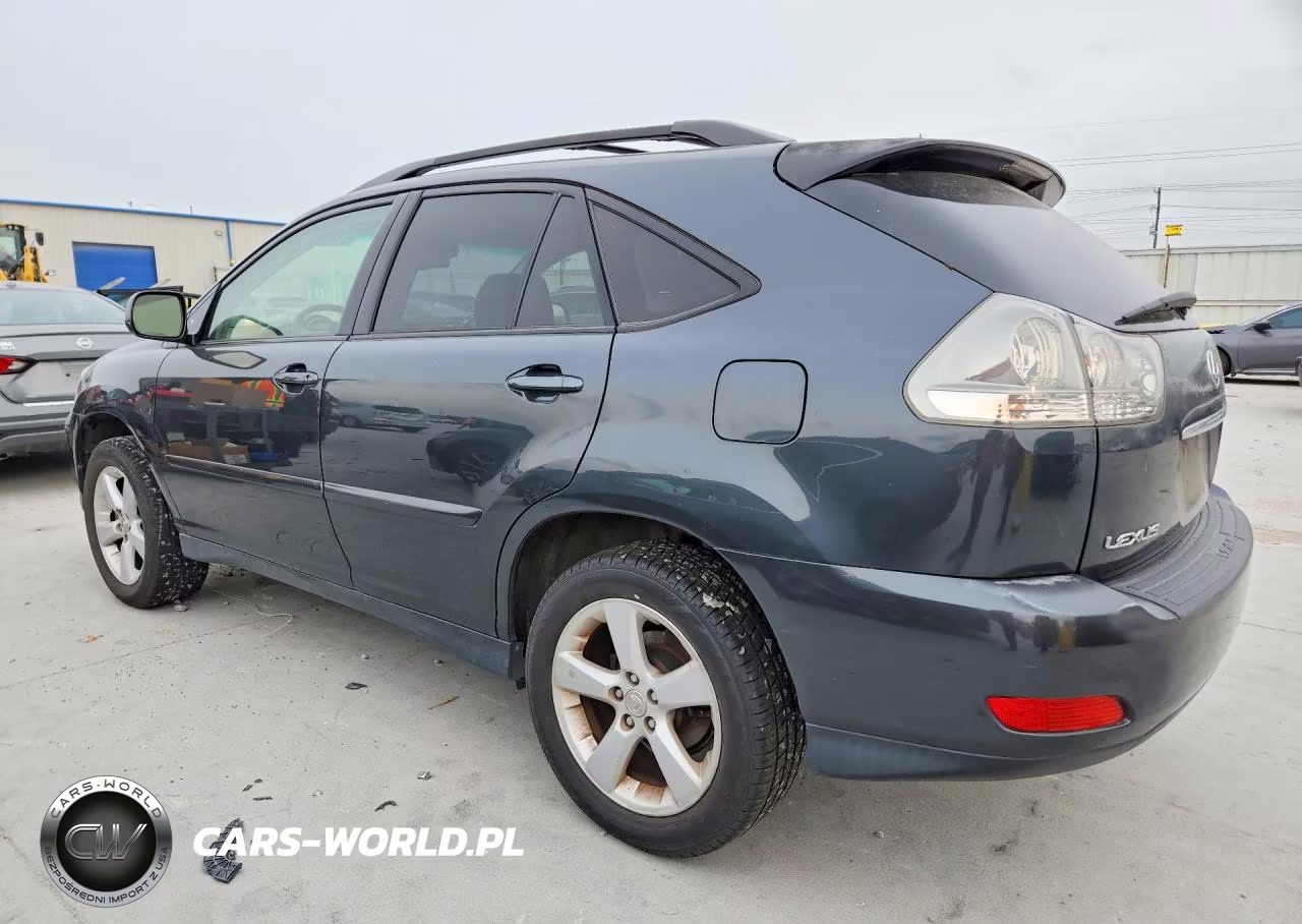 2004 Lexus Rx 330 VIN:JTJGA31U440038090 - 2