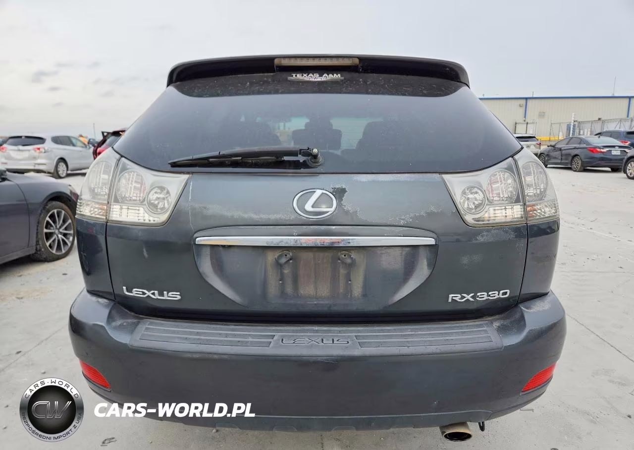 2004 Lexus Rx 330 VIN:JTJGA31U440038090 - 6