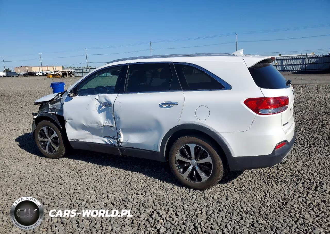 2017 Kia Sorento VIN:5XYPHDA59HG303132 - 2
