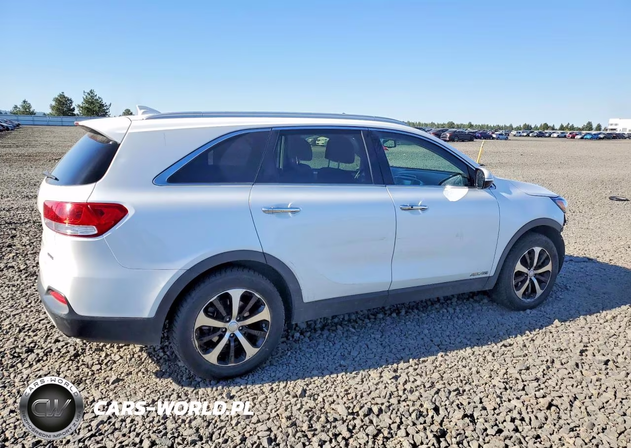 2017 Kia Sorento VIN:5XYPHDA59HG303132 - 3