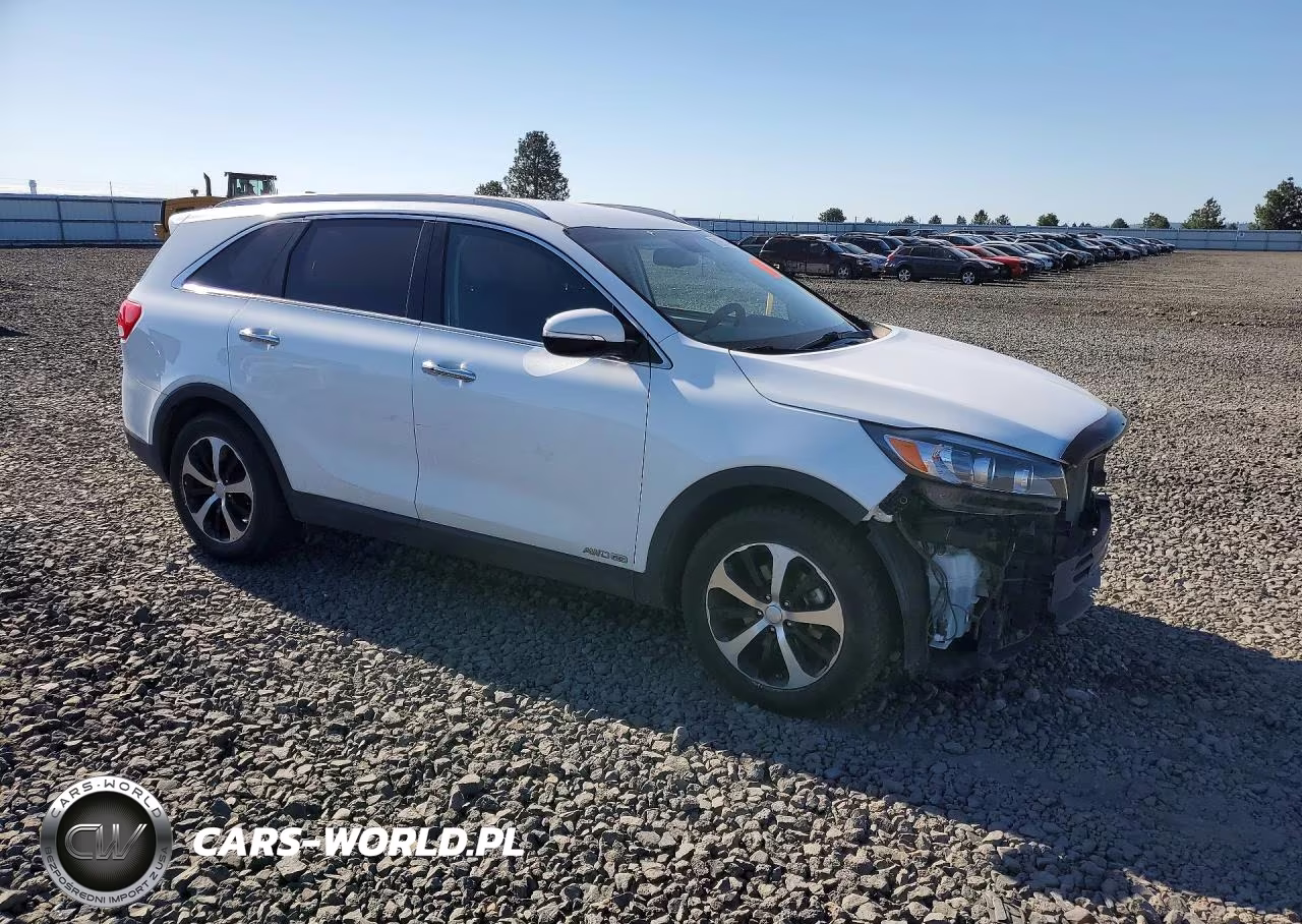 2017 Kia Sorento VIN:5XYPHDA59HG303132 - 4