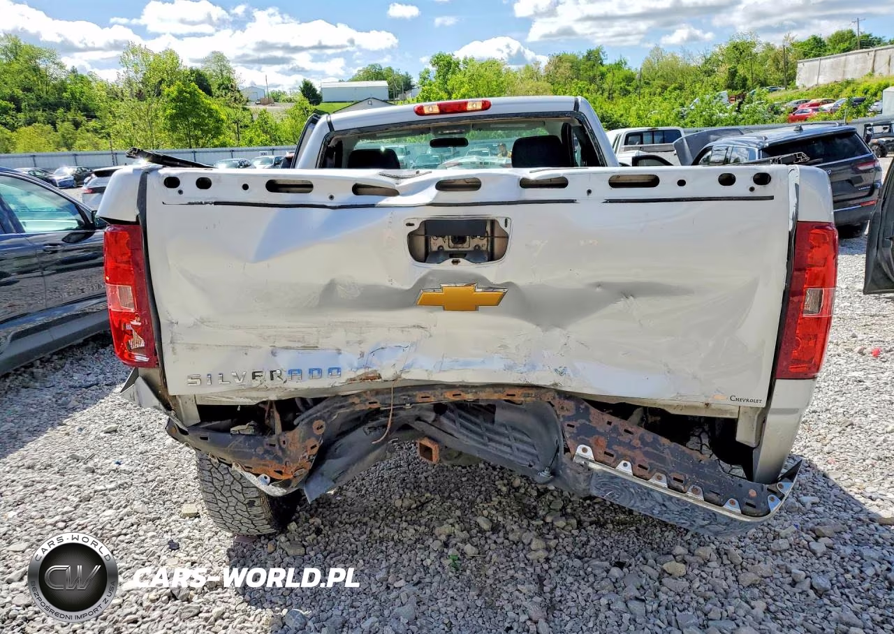 2013 Chevrolet Silverado C1500 VIN:1GCNCPEX7DZ413398 - 6