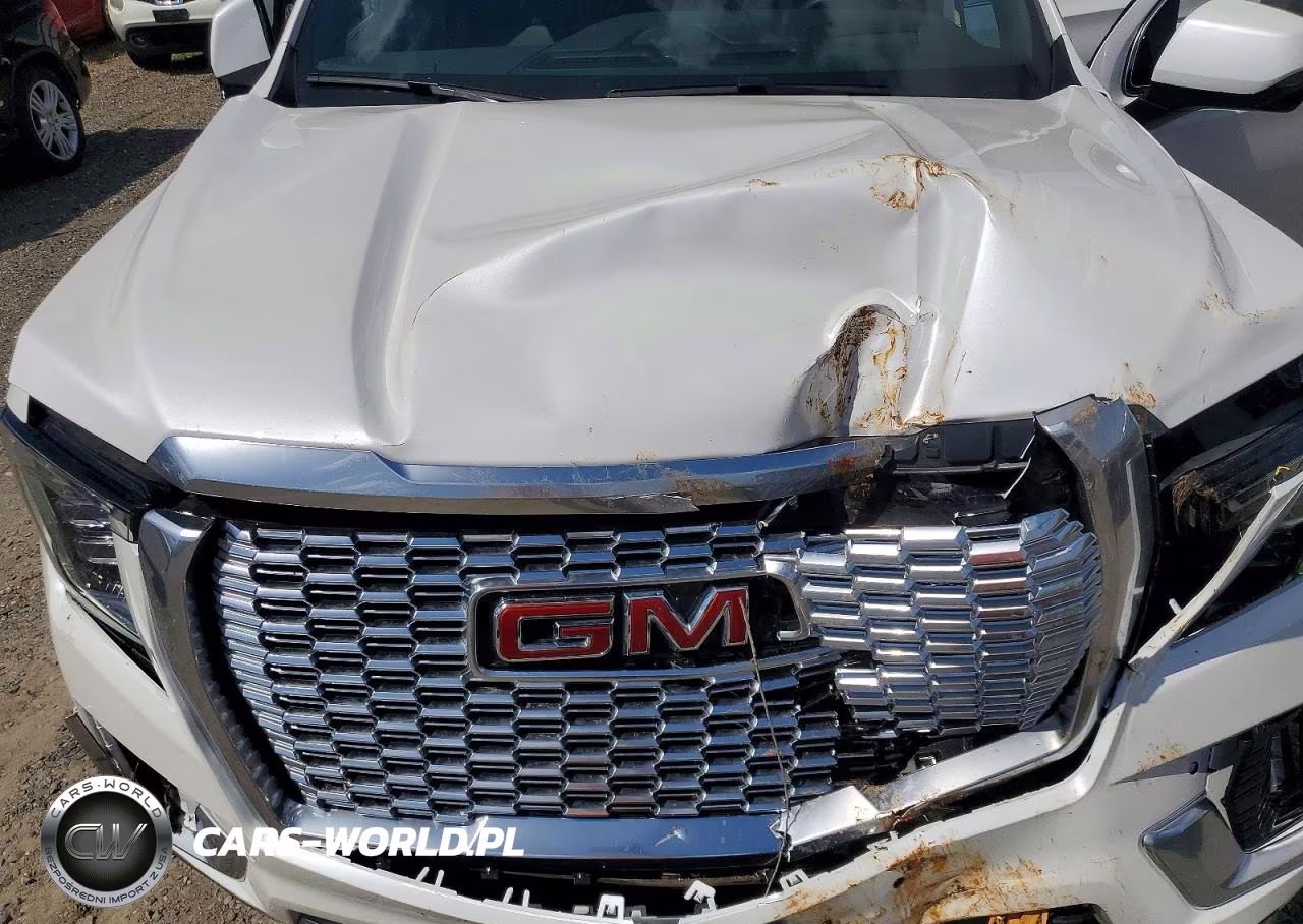 2024 GMC Yukon Denali VIN:1GKS2DKL3RR406370 - 12