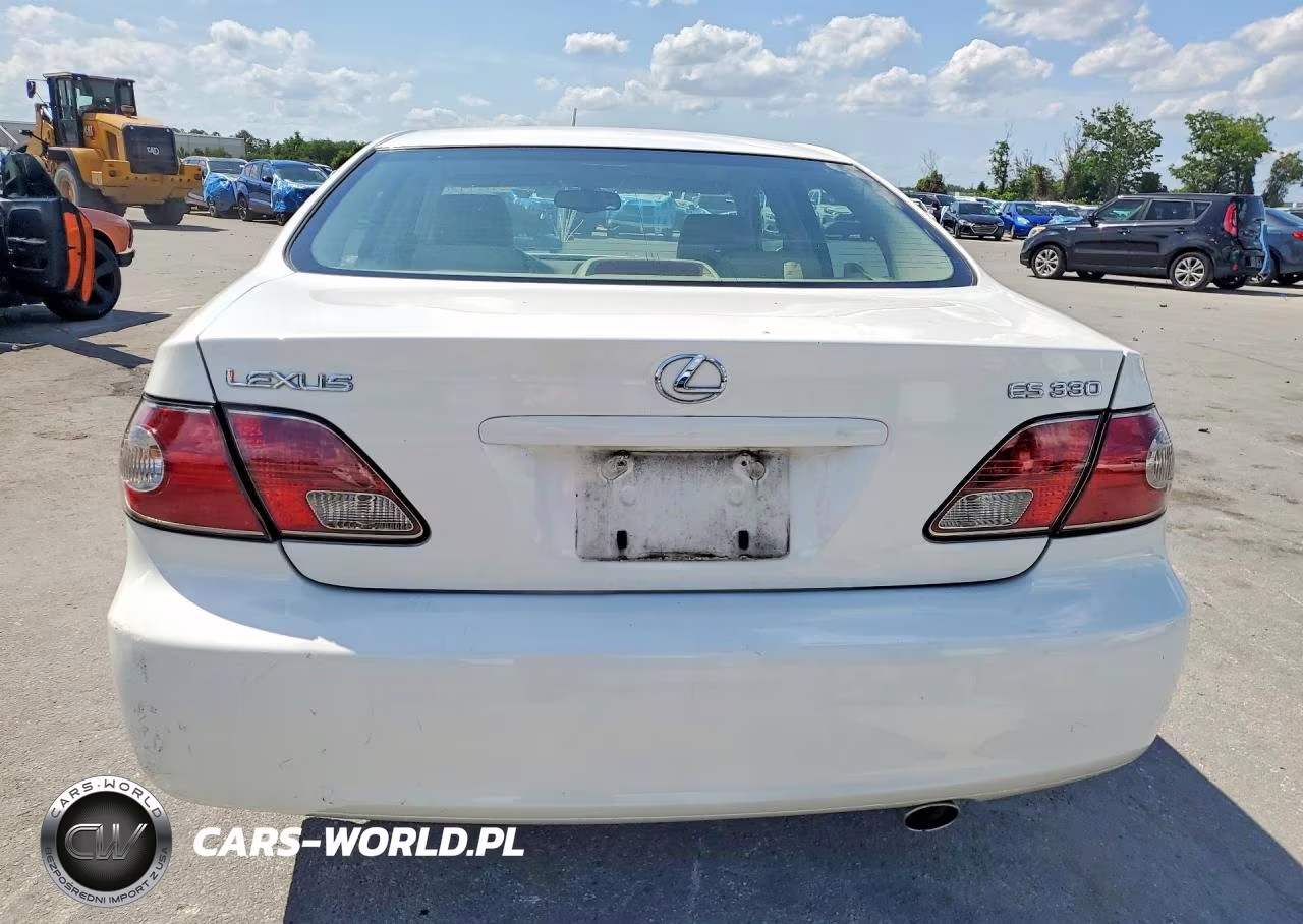 2004 Lexus Es 330 VIN:JTHBA30G945006004 - 6