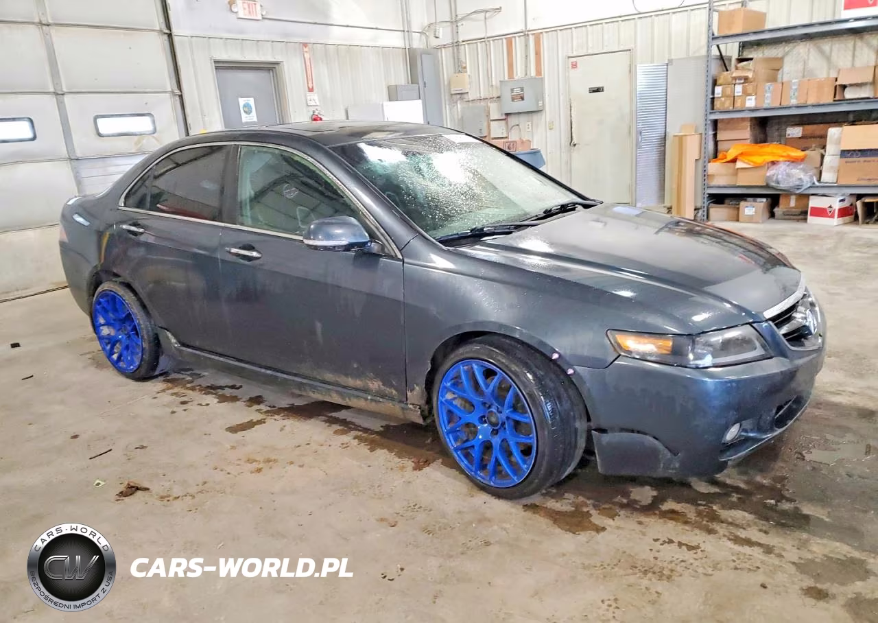 2004 Acura Tsx VIN:JH4CL96994C012553 - 4