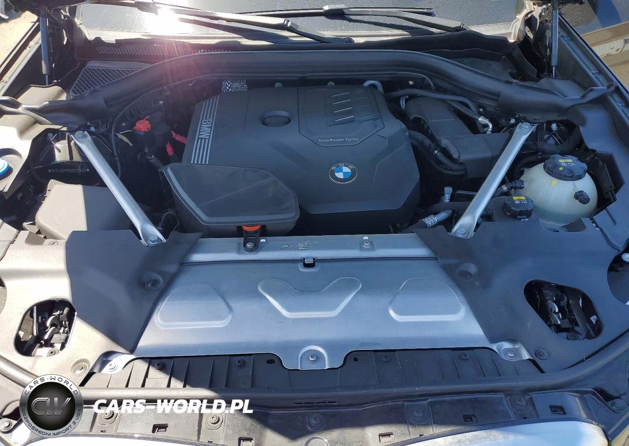 2022 BMW X3 Sdrive30I VIN:5UX43DP00N9K29639 - 12