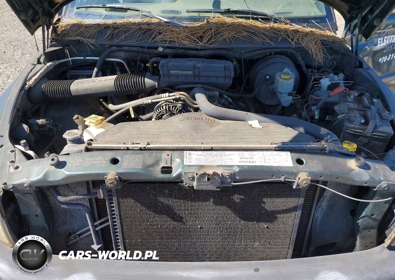 2001 Dodge Ram 1500 VIN:3B7HF13Y91M263403 - 11