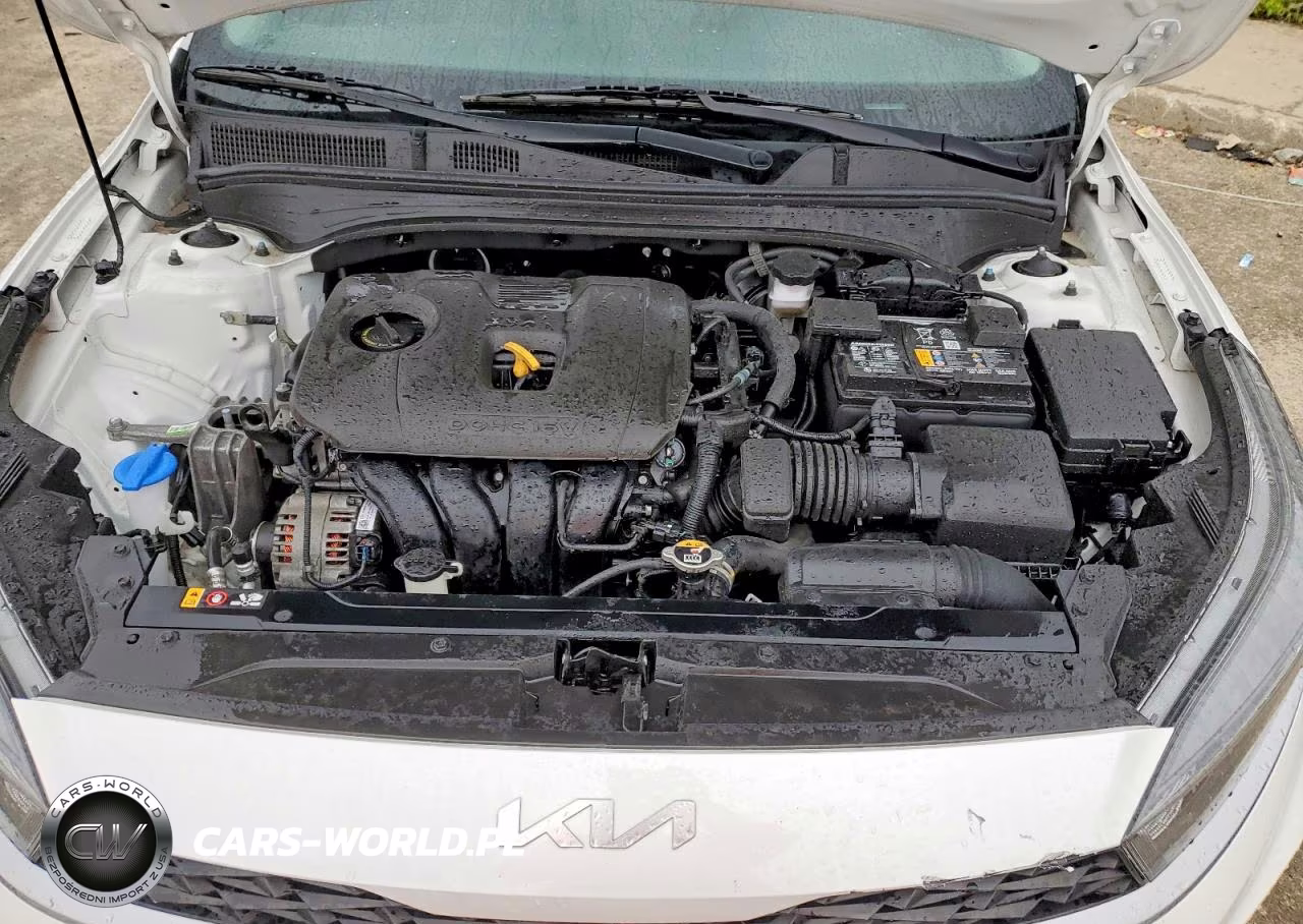 2022 Kia Forte Lxs VIN:3KPF24AD7NE466438 - 11