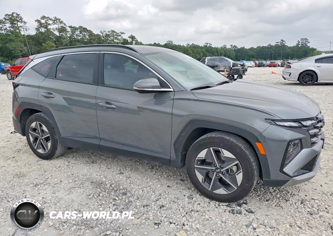 2025 Hyundai Tucson Sel VIN:5NMJC3DEXSH491375 - 4