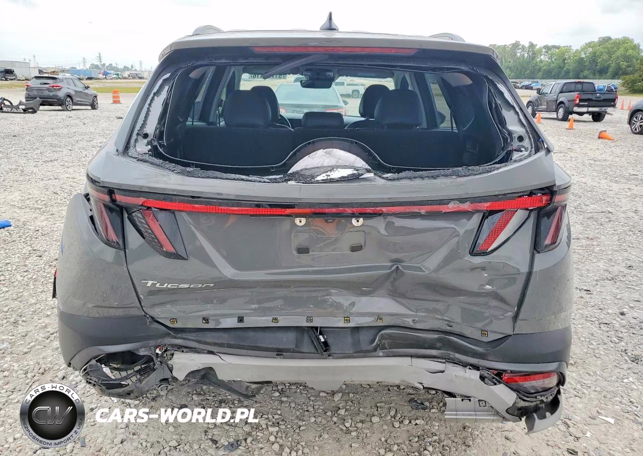 2025 Hyundai Tucson Sel VIN:5NMJC3DEXSH491375 - 6