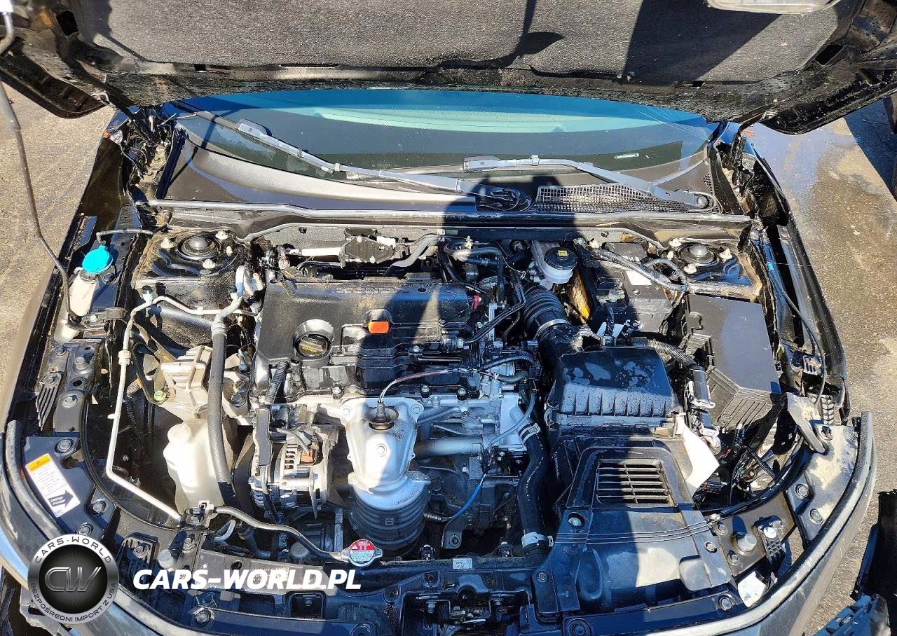 2024 Honda Civic Sport VIN:2HGFE2F5XRH503636 - 11