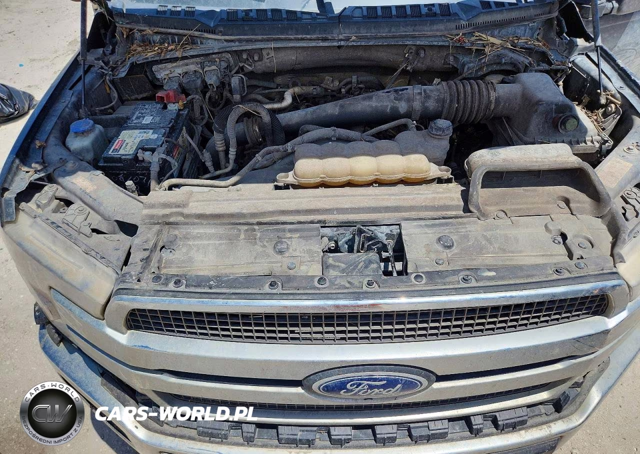 2020 Ford F150 Supercrew VIN:1FTFW1E15LFA54945 - 11