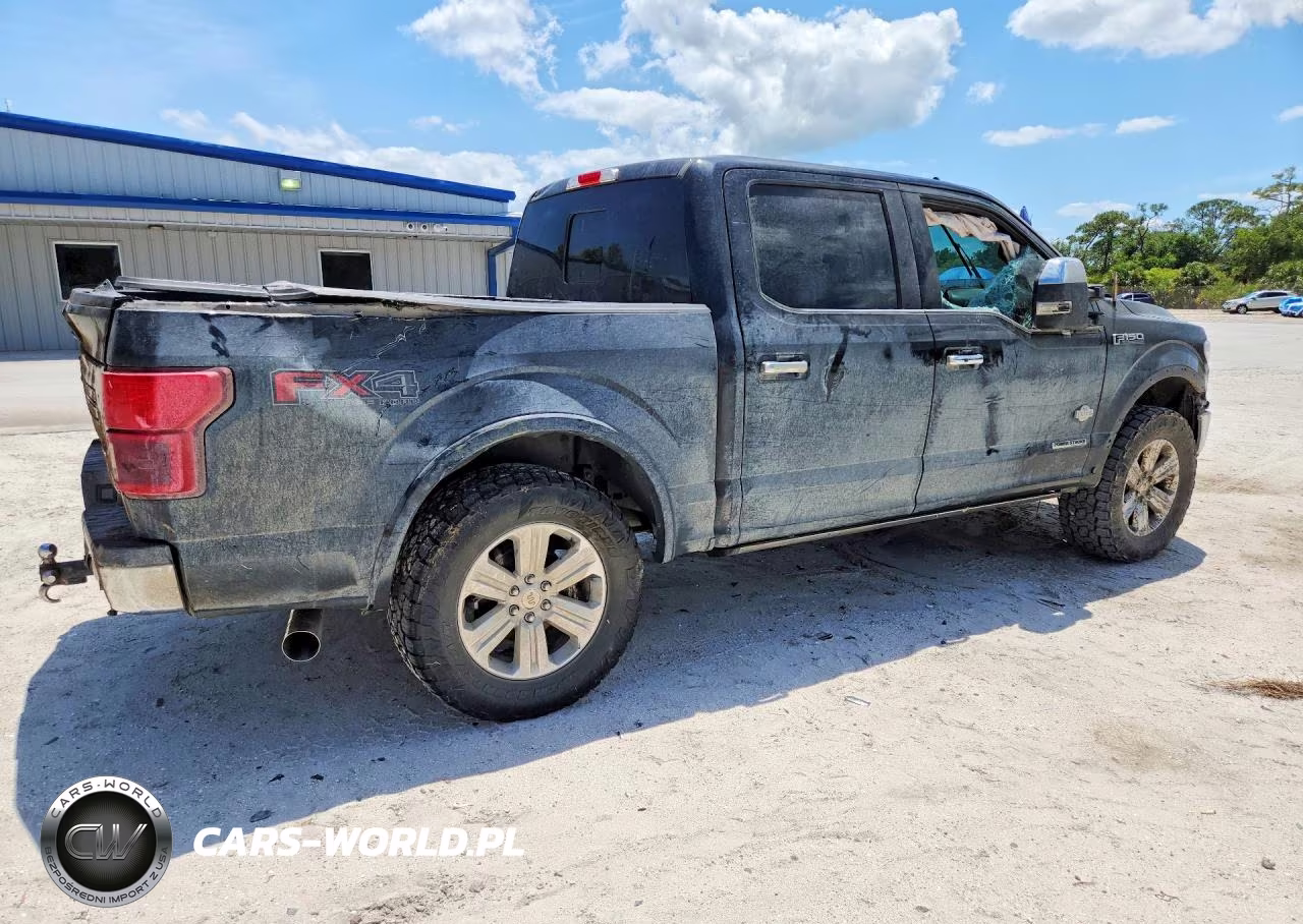 2020 Ford F150 Supercrew VIN:1FTFW1E15LFA54945 - 3
