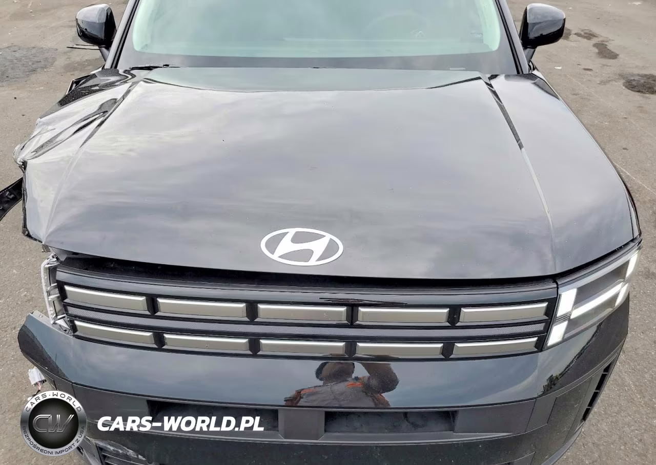 2025 Hyundai Santa Fe Se VIN:5NMP14GL0SH136618 - 12