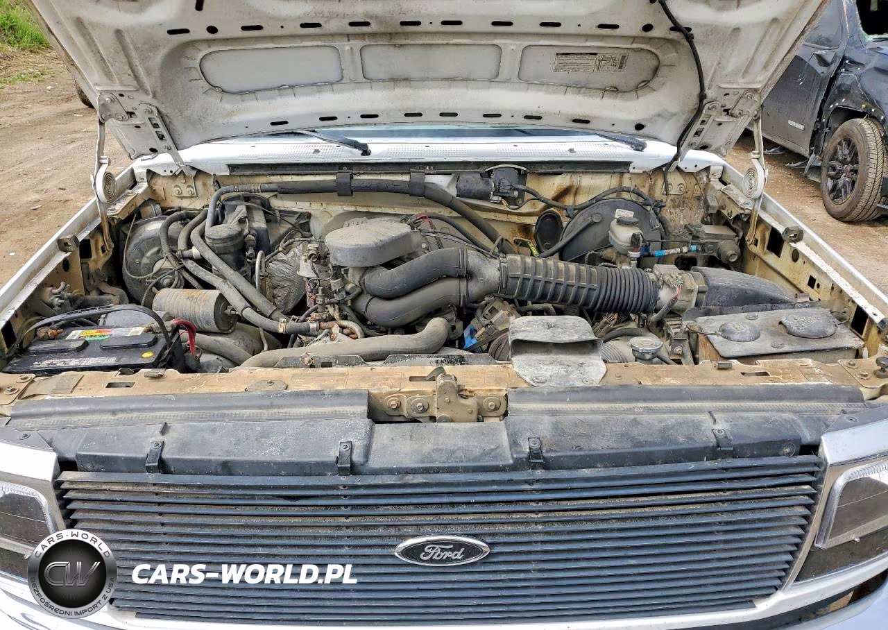 1994 Ford F150 VIN:1FTEX14N8RKB51747 - 11