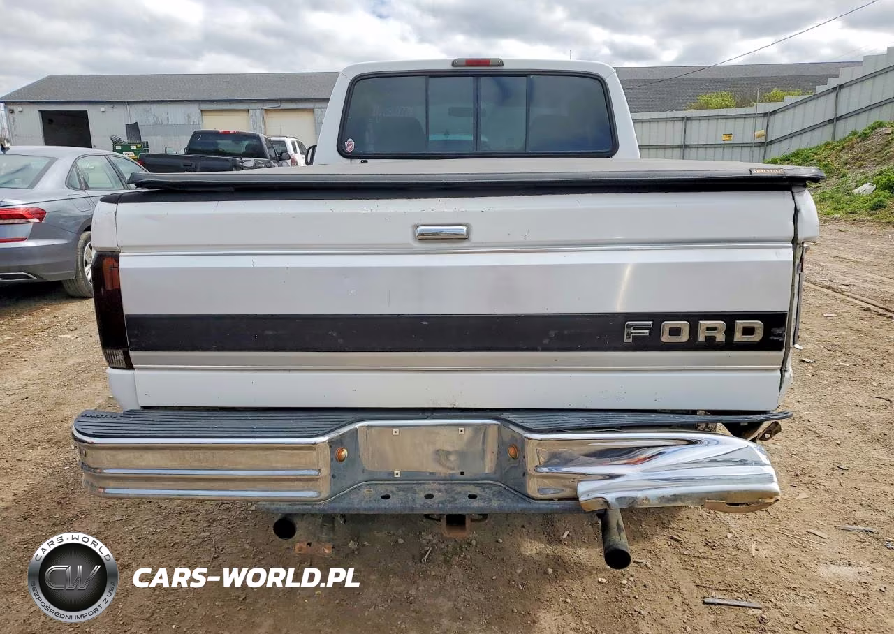 1994 Ford F150 VIN:1FTEX14N8RKB51747 - 6