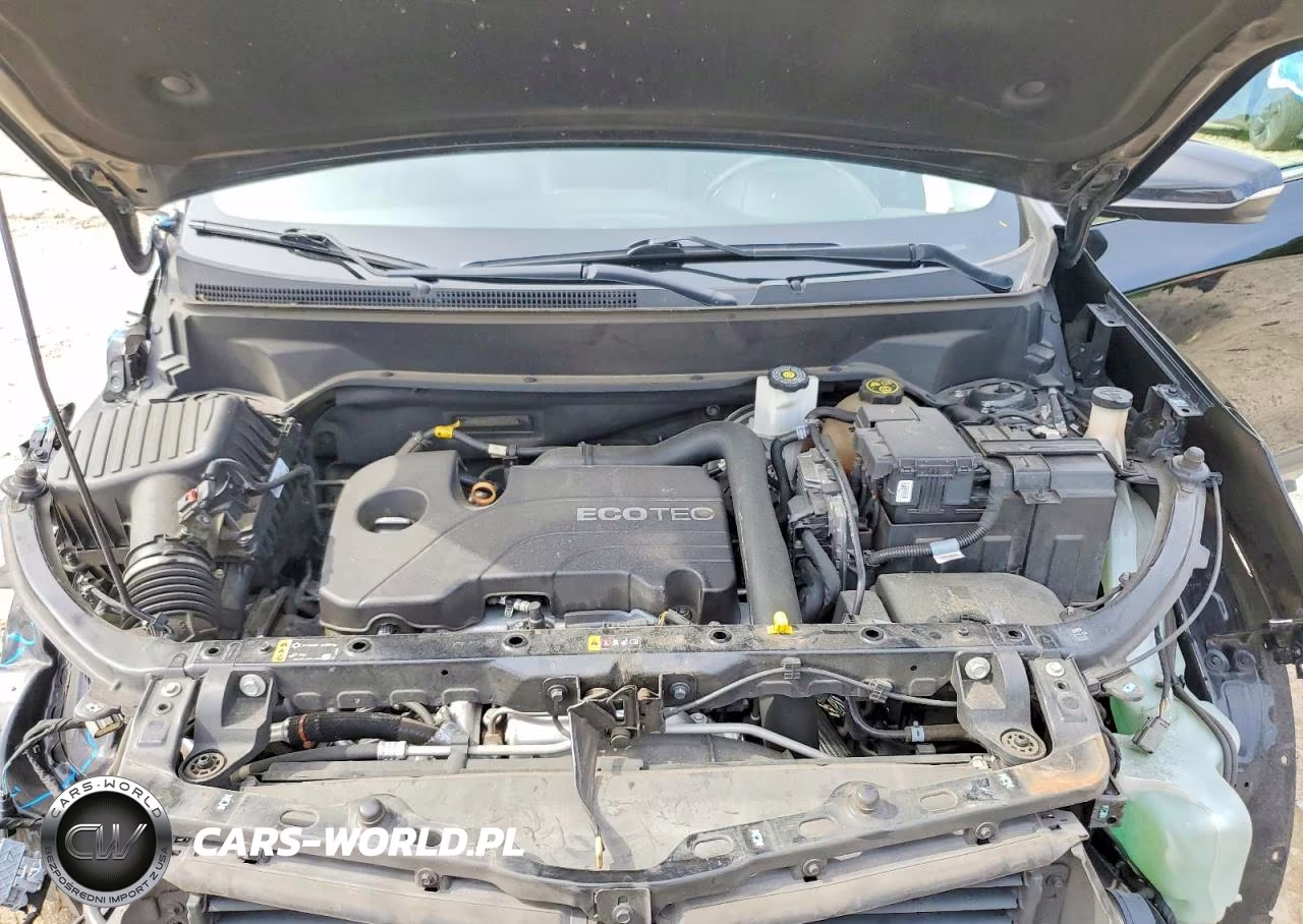 2019 Chevrolet Equinox Lt VIN:2GNAXKEV1K6146912 - 11