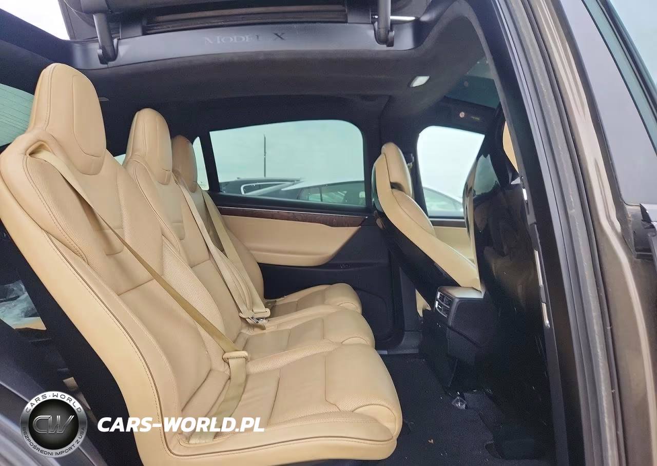 2016 Tesla Model X VIN:5YJXCAE47GFS00618 - 10