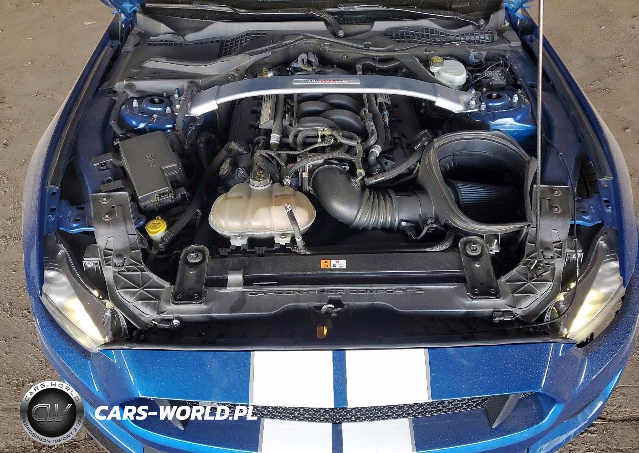 2017 Ford Mustang Shelby Gt350 VIN:1FA6P8JZ1H5523436 - 11
