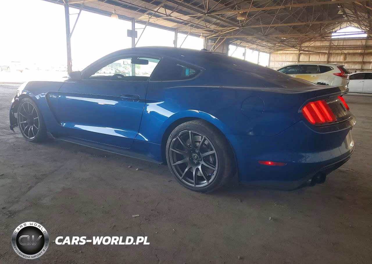 2017 Ford Mustang Shelby Gt350 VIN:1FA6P8JZ1H5523436 - 2