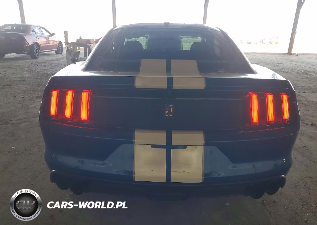 2017 Ford Mustang Shelby Gt350 VIN:1FA6P8JZ1H5523436 - 6
