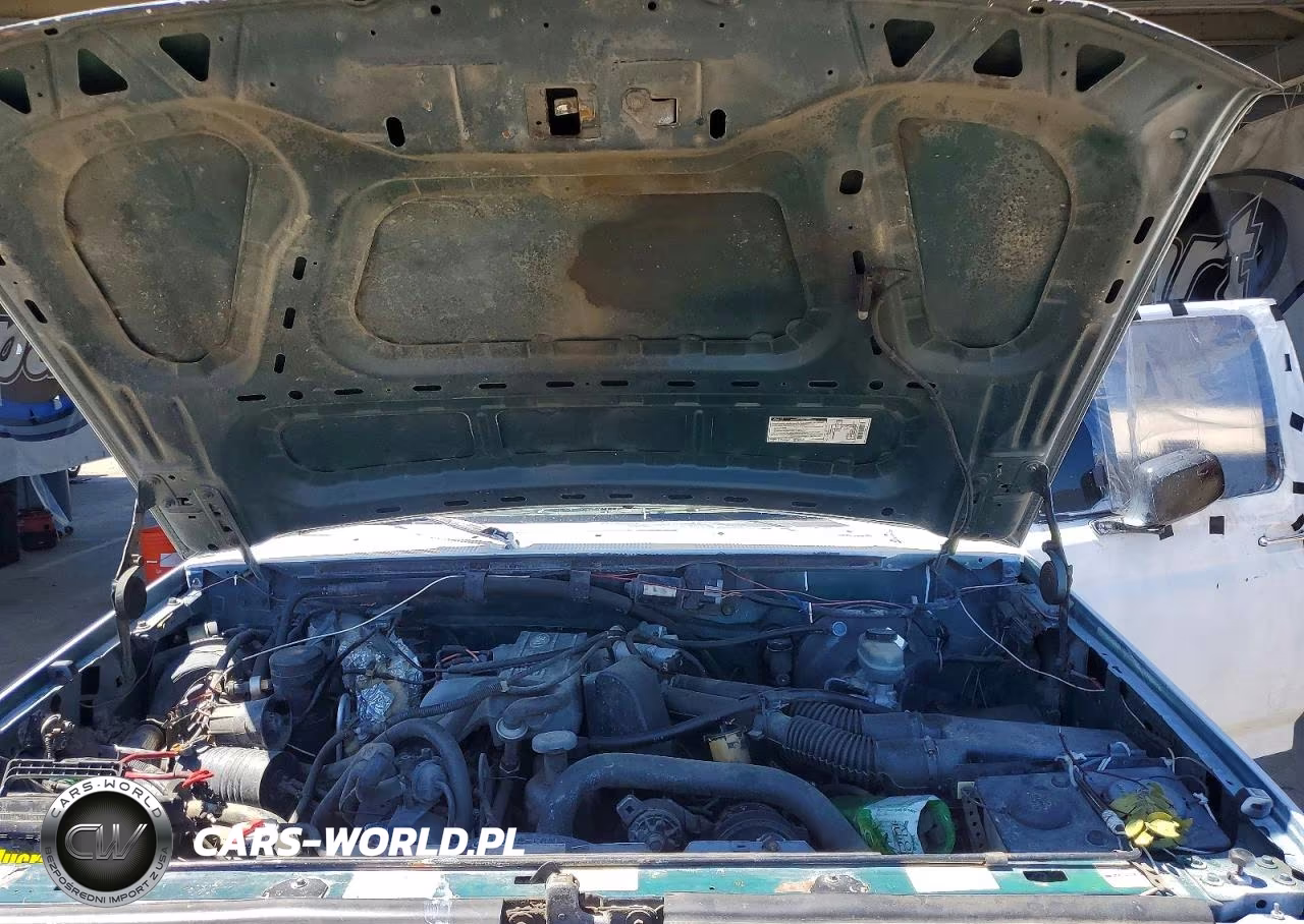 1994 Ford F-150 VIN:1FTDF15Y7SLA67894 - 11