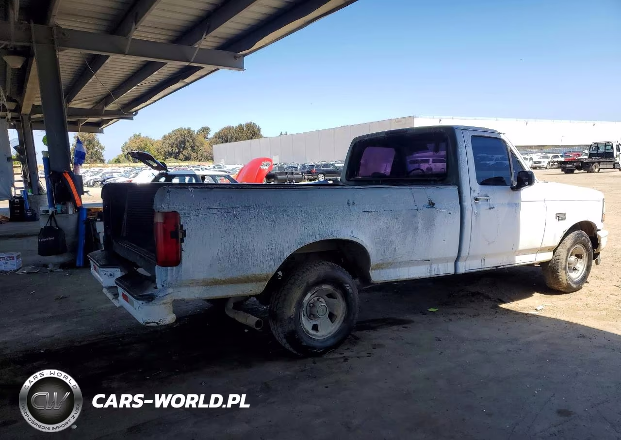 1994 Ford F-150 VIN:1FTDF15Y7SLA67894 - 3