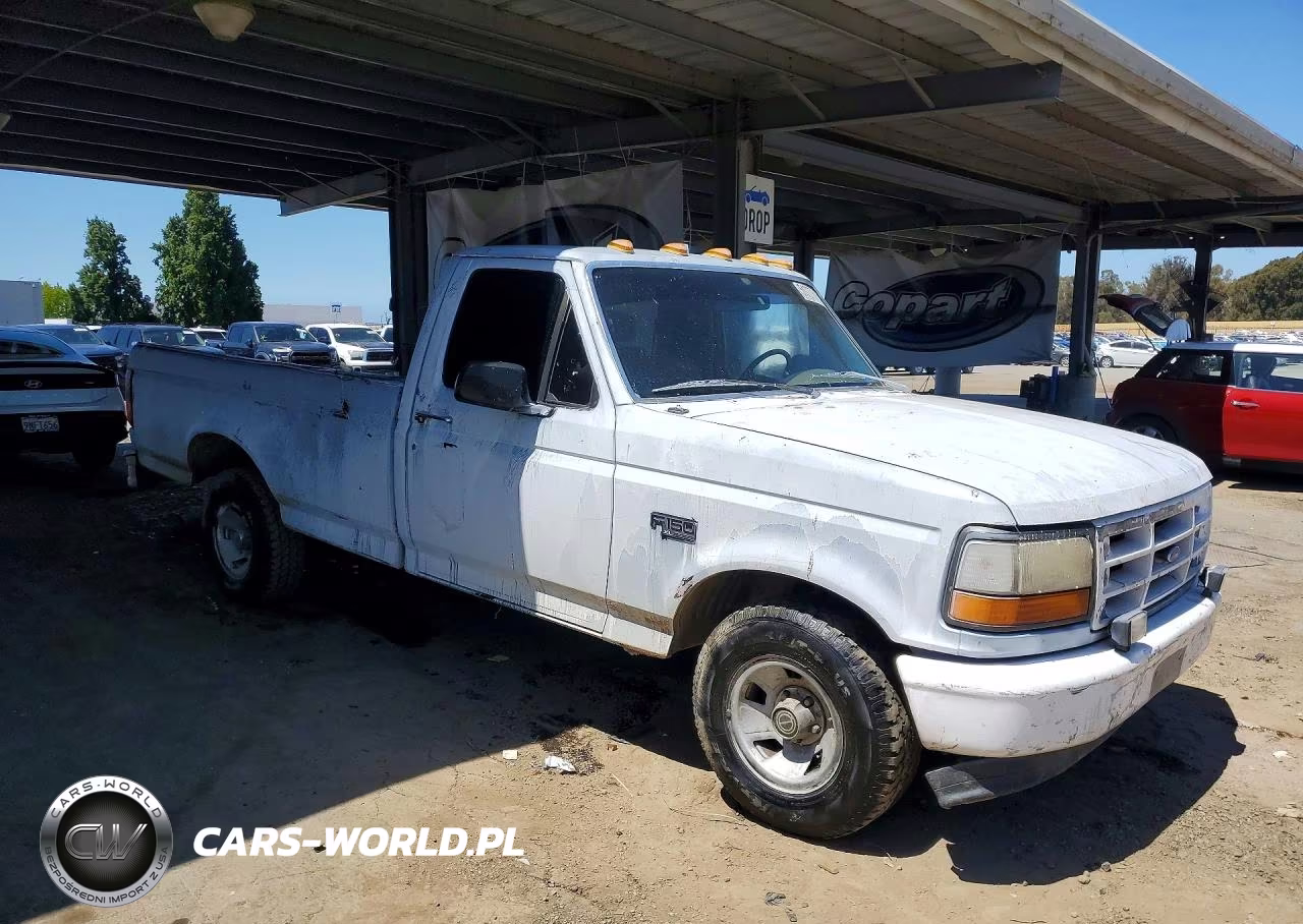 1994 Ford F-150 VIN:1FTDF15Y7SLA67894 - 4
