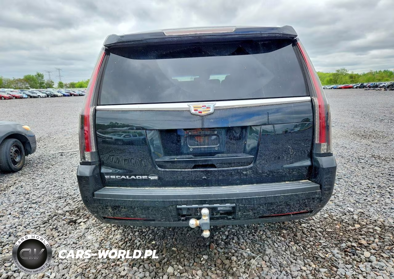 2016 Cadillac Escalade Luxury VIN:1GYS4BKJ2GR227057 - 6