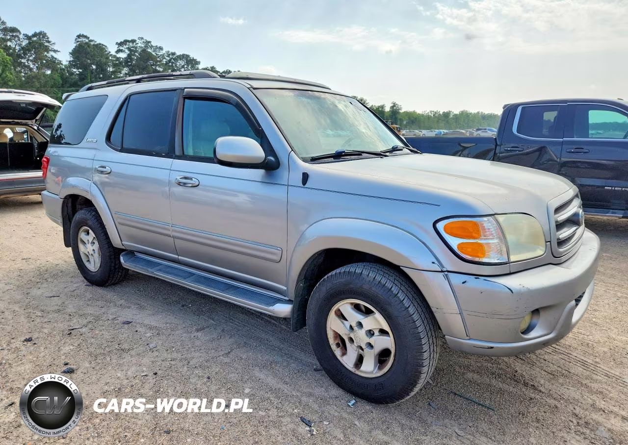 2009 Toyt Sequoia VIN:5TDZT38A22S070161 - 4