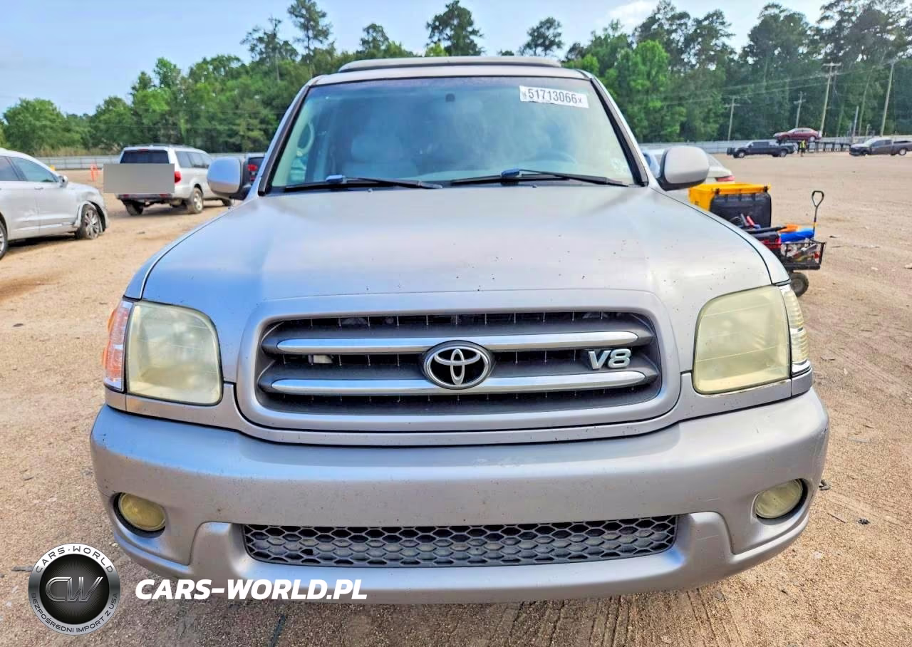 2009 Toyt Sequoia VIN:5TDZT38A22S070161 - 5