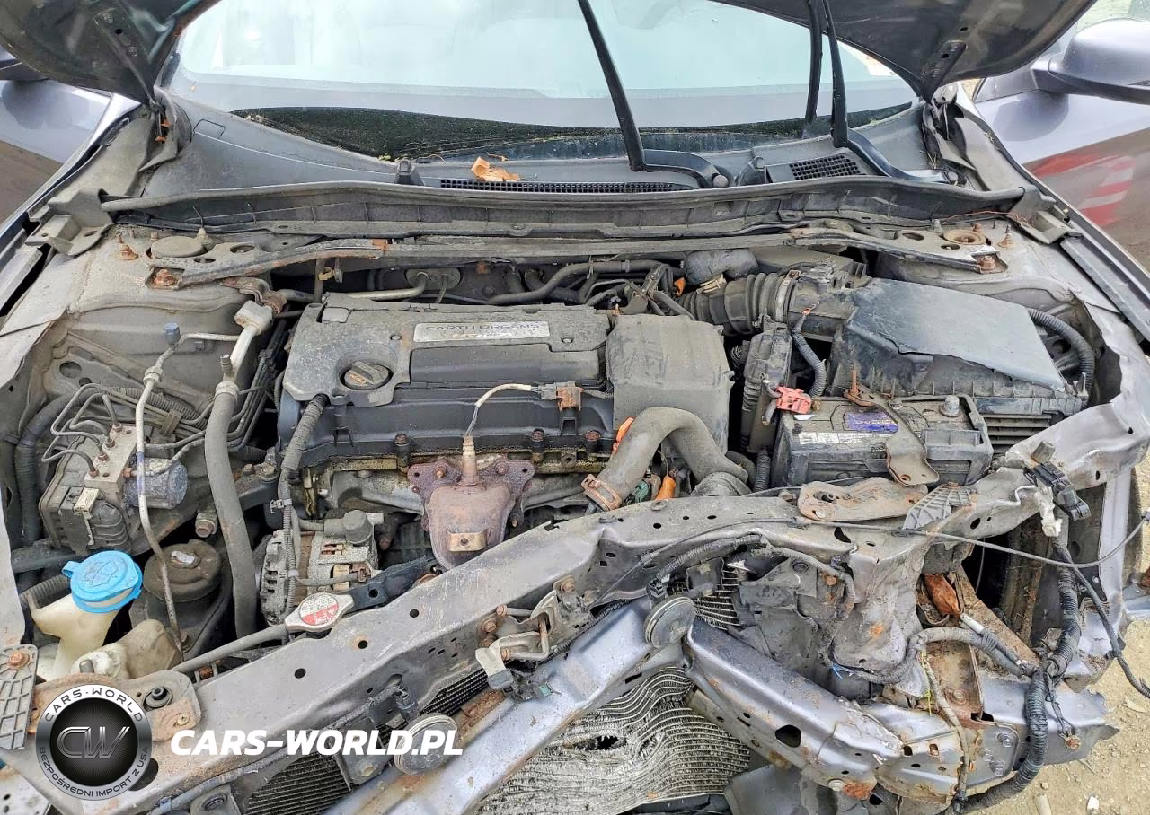 2014 Honda Accord Exl VIN:1HGCR2F89EA051754 - 11