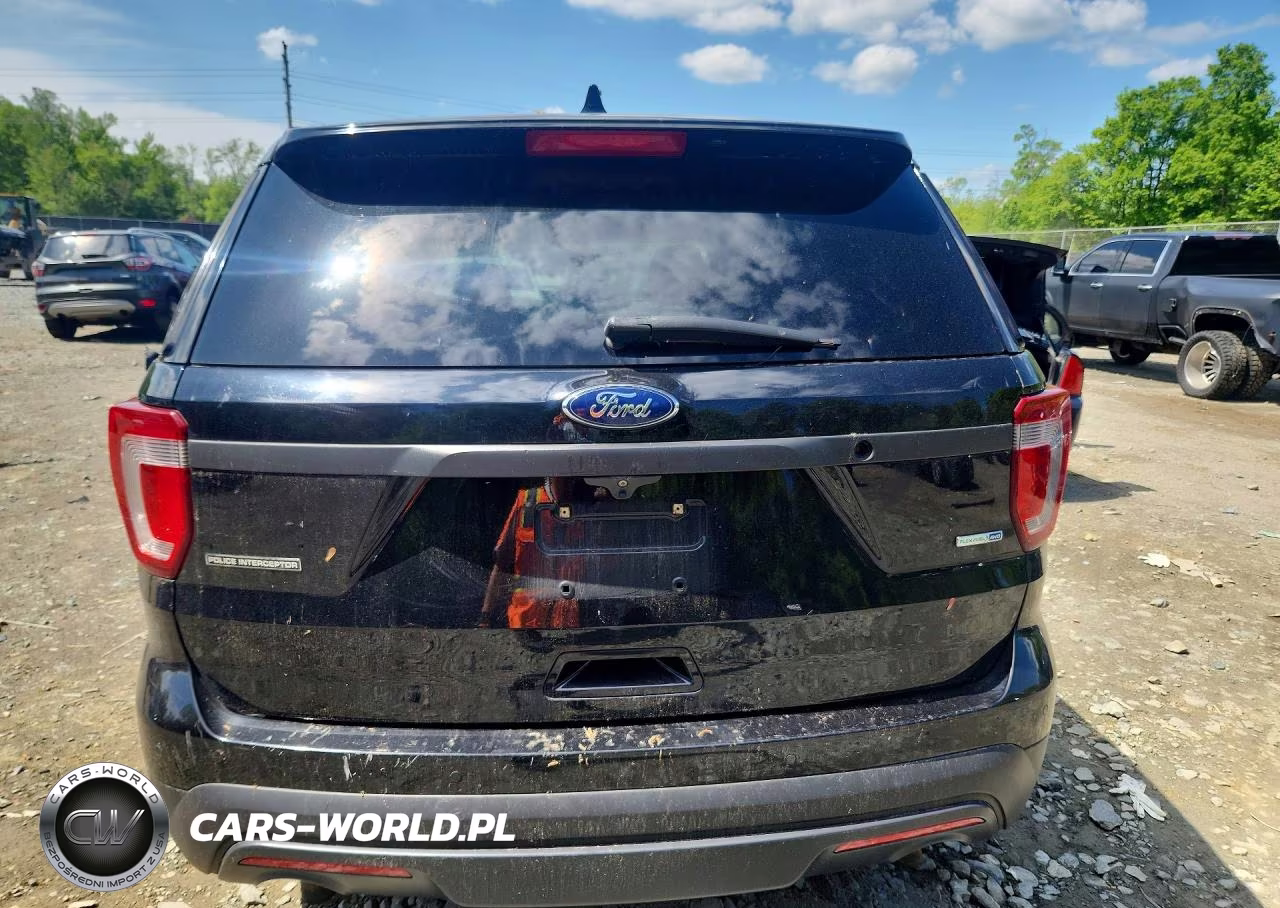 2017 Ford Explorer Police Interceptor VIN:1FM5K8AR9HGB93615 - 6