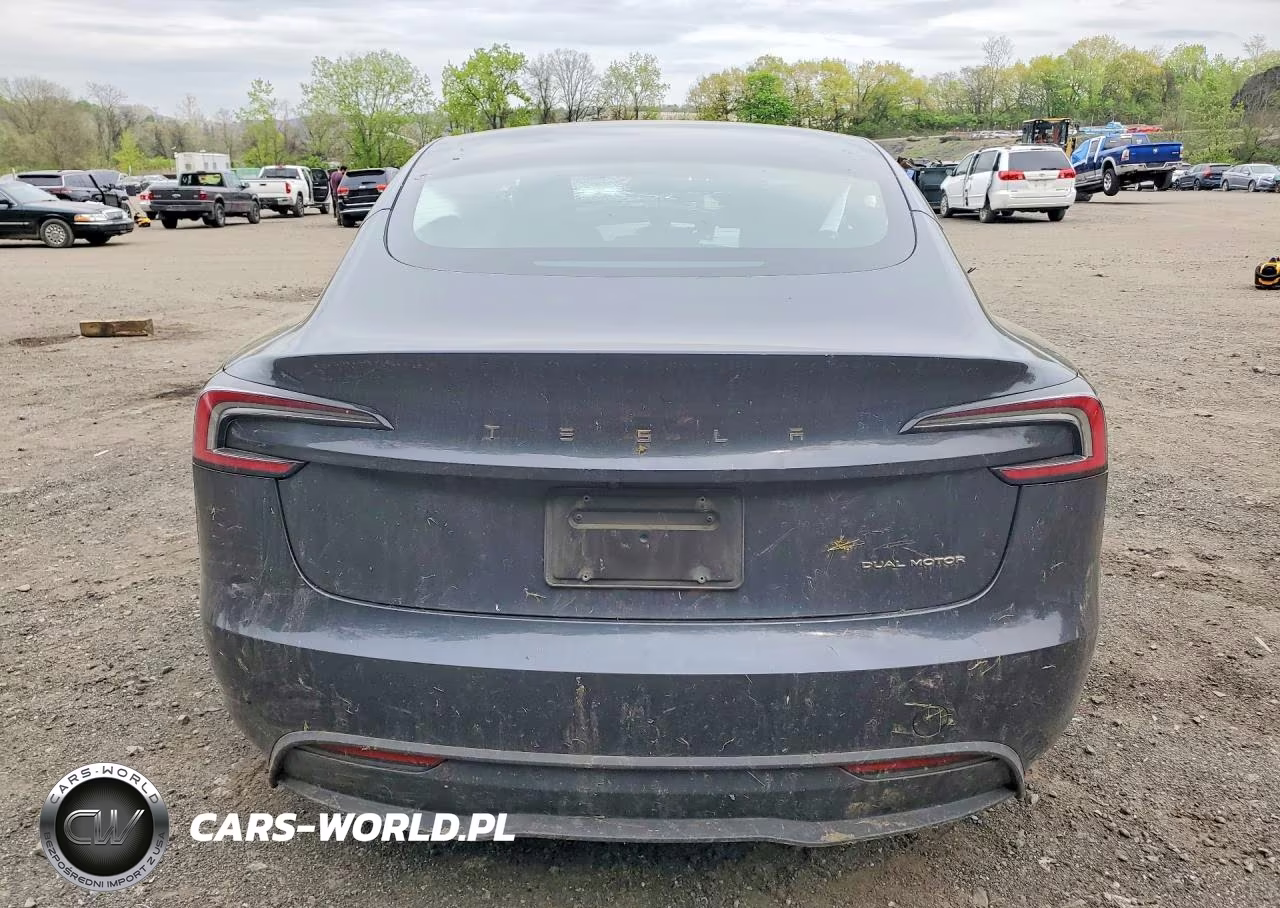 2025 Tesla Model 3 VIN:5YJ3E1EB2SF900529 - 6