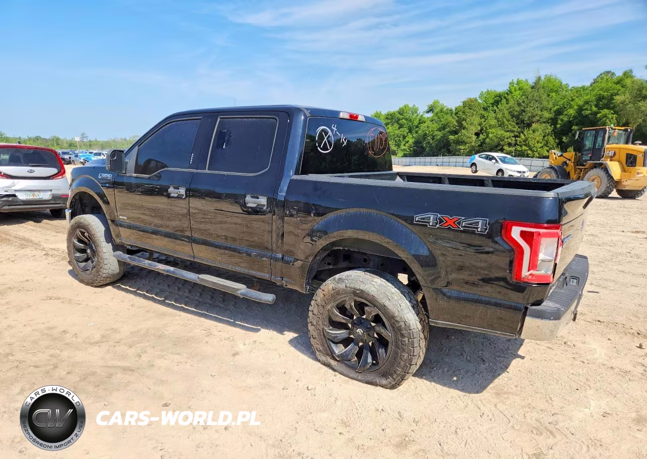 2017 Ford F150 Supercrew VIN:1FTEW1EG9HFB24499 - 2