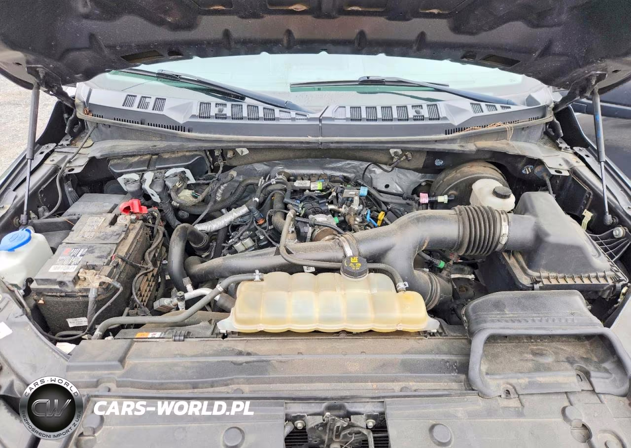 2020 Ford F150 Supercrew VIN:1FTEW1CPXLFA82596 - 11