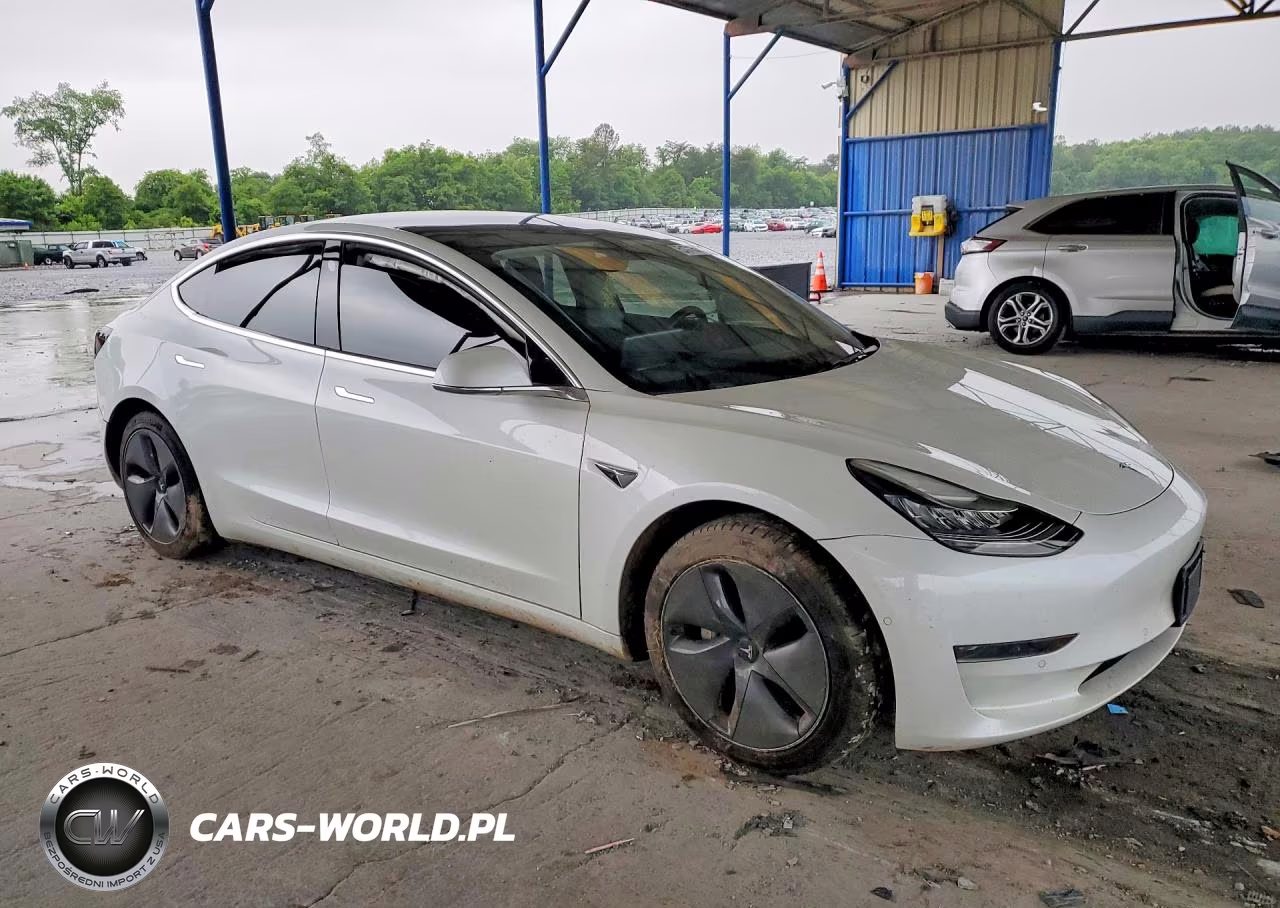 2020 Tesla Model 3 VIN:5YJ3E1EA3LF792852 - 4