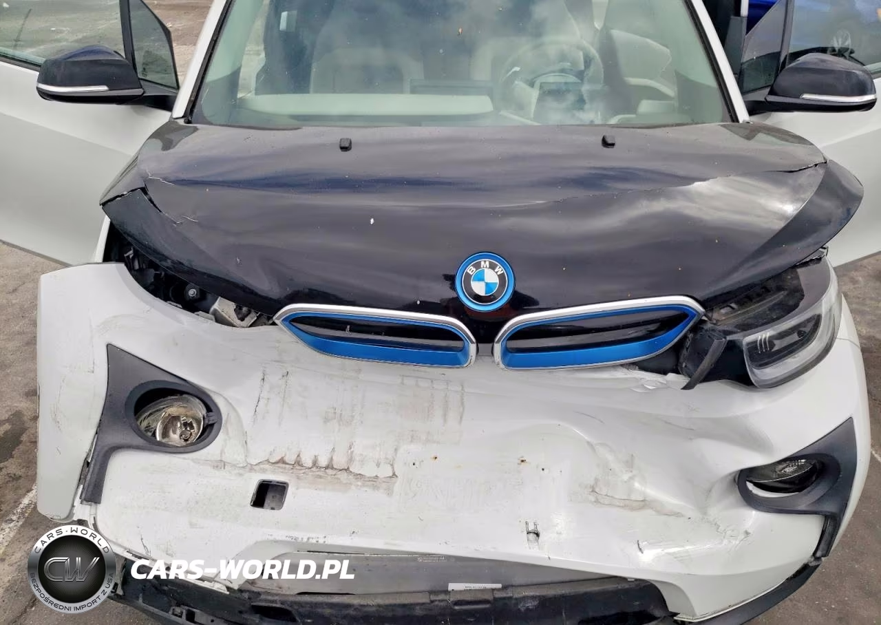 2015 BMW I3 Rex VIN:WBY1Z4C52FV278403 - 11