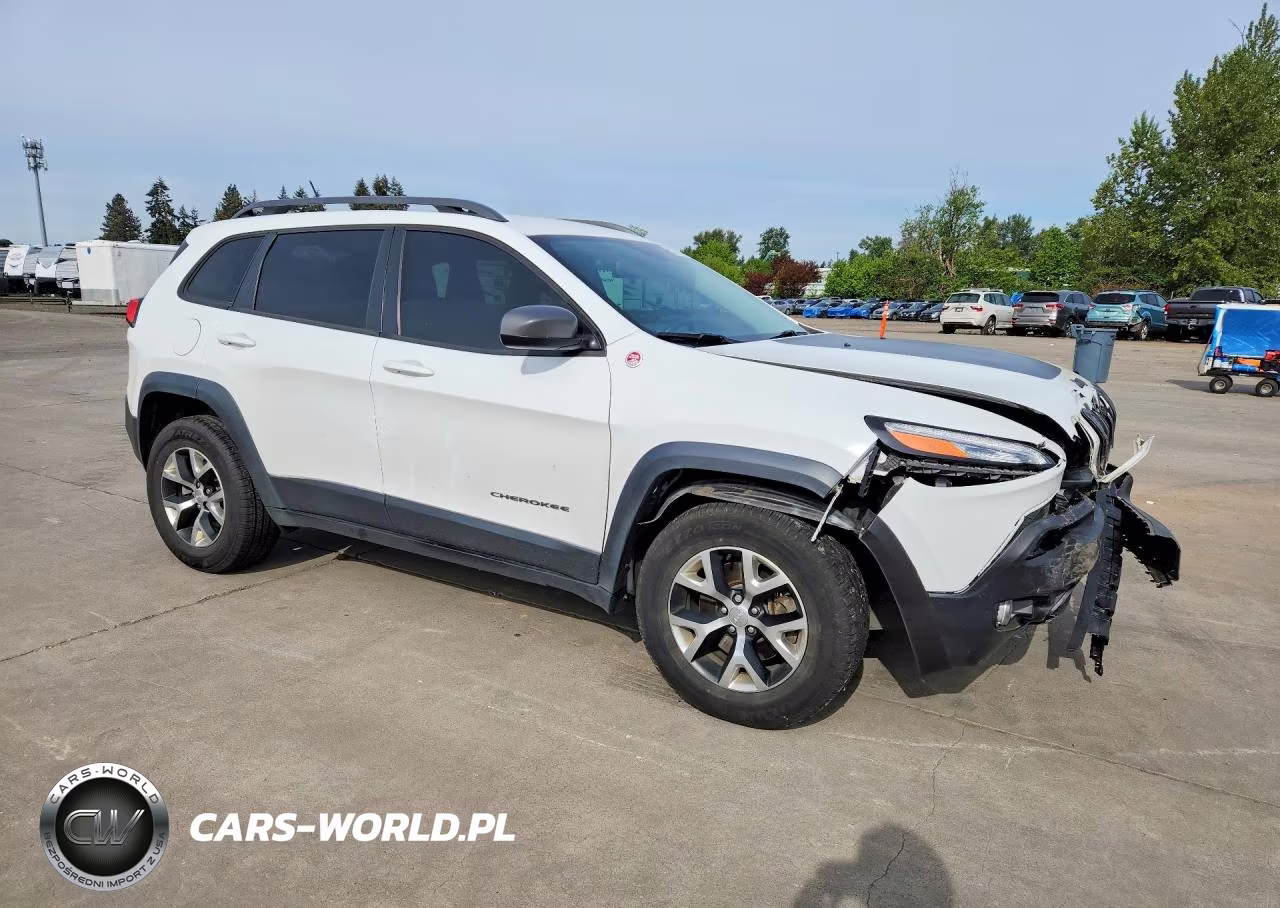 2017 Jeep Cherokee Trailhawk VIN:1C4PJMBS8HW615535 - 4